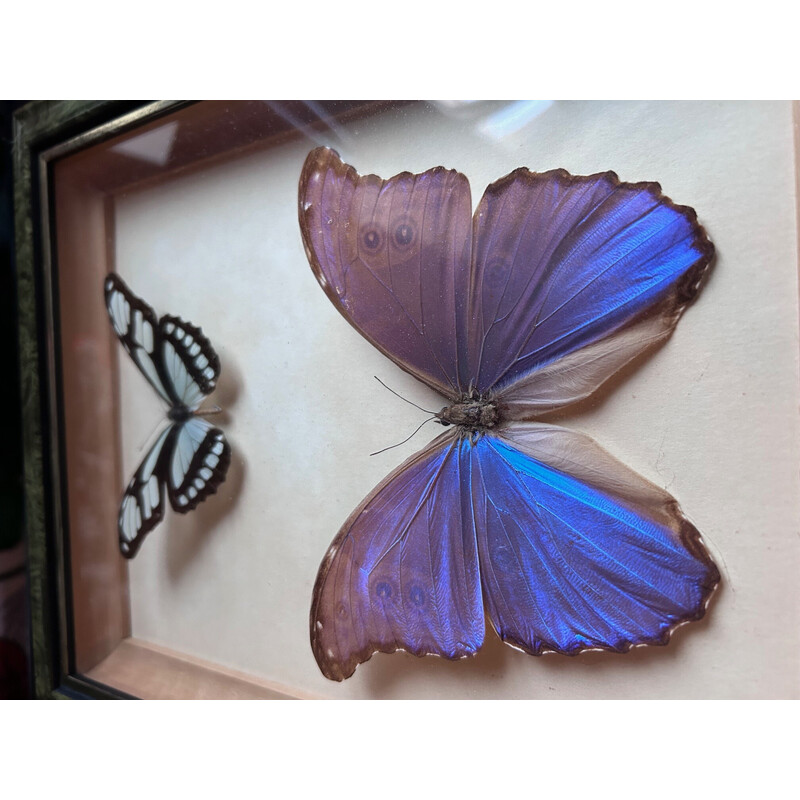 Vintage frame with 2 butterflies