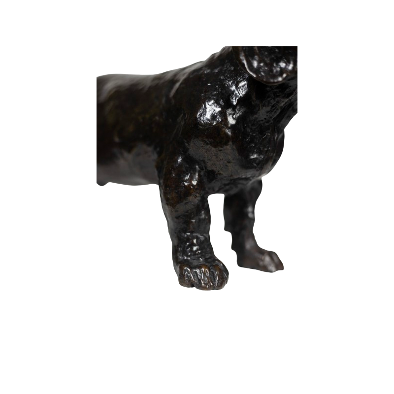 Sculpture vintage "Chien Basset Toc" en bronze par François Pompon pour Atelier Valsuani, 2006