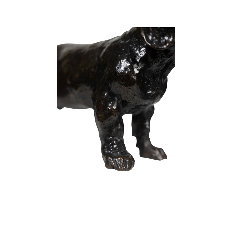 Vintage bronze “Dog Basset Toc” sculpture by François Pompon for Atelier Valsuani, 2006