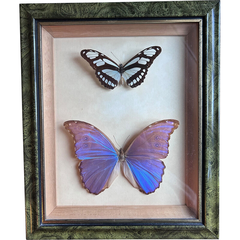 Vintage frame with 2 butterflies