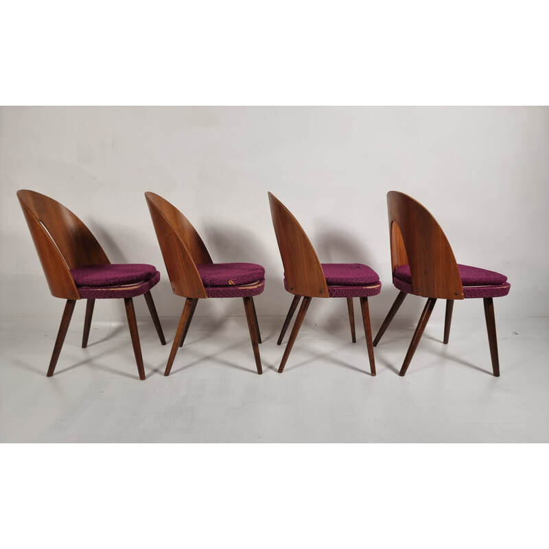 Conjunto de 4 cadeiras vintage de Antonin Suman, 1960