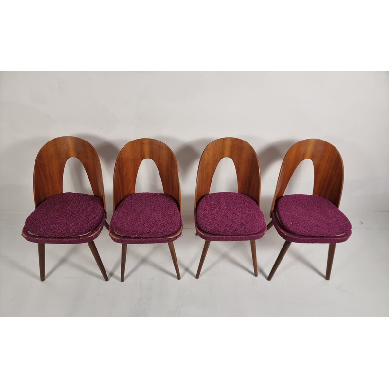 Lot de 4 chaises vintage d'Antonin Suman, 1960