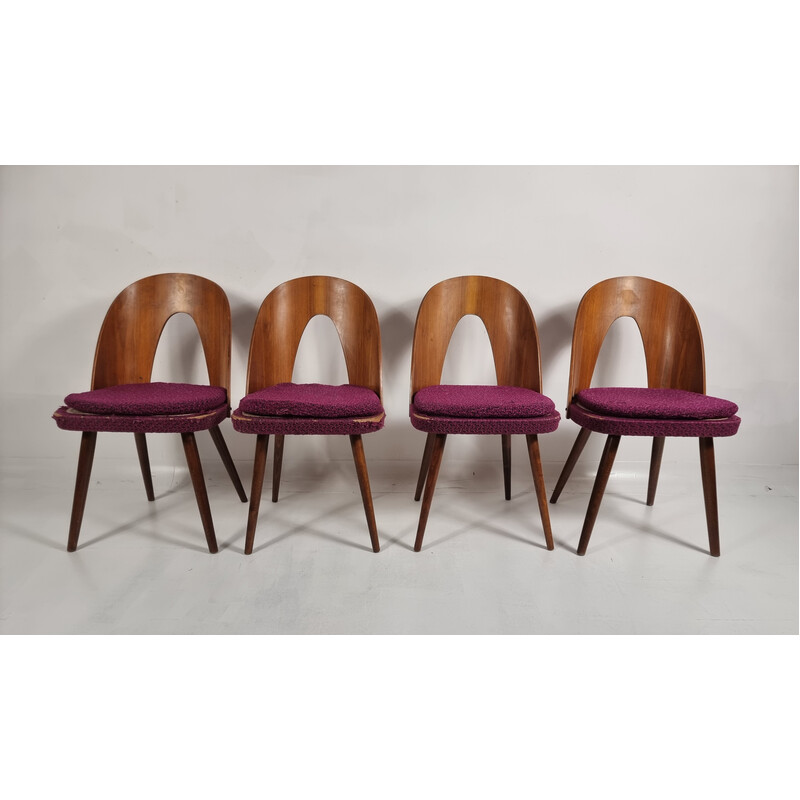 Lot de 4 chaises vintage d'Antonin Suman, 1960