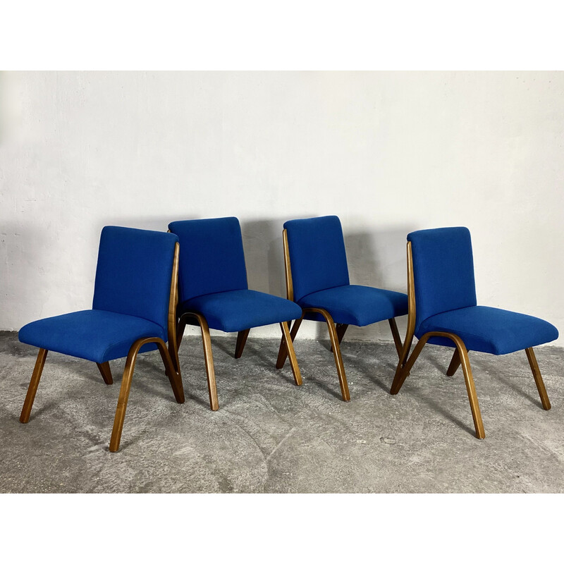 Ensemble de 4 chaises vintage “Konkav” en hêtre par Paul Bode pour Deutsche Federholzgesellschaft, Allemagne 1950