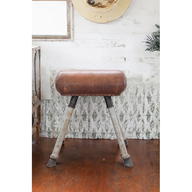 Vintage exercise horse in brown leather and metal, 1950