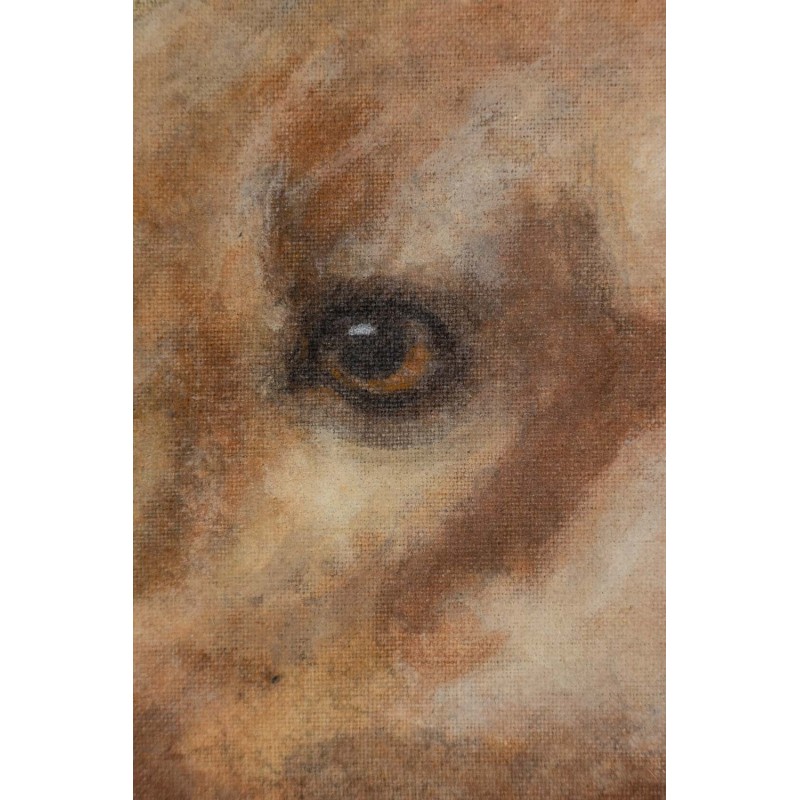 Vintage painting representing a dog, France