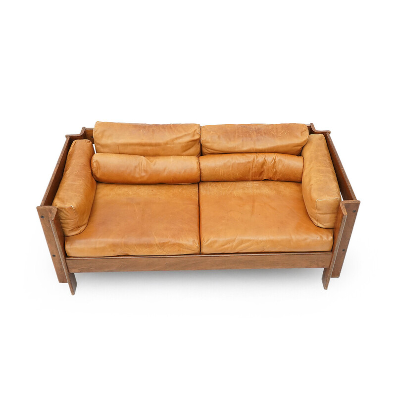 Vintage "Zelda" 2-seater sofa in plywood and leather by Sergio Asti for Poltronova, 1960
