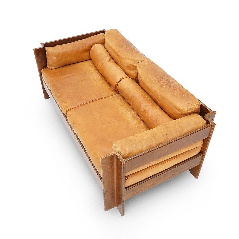 Vintage "Zelda" 2-seater sofa in plywood and leather by Sergio Asti for Poltronova, 1960