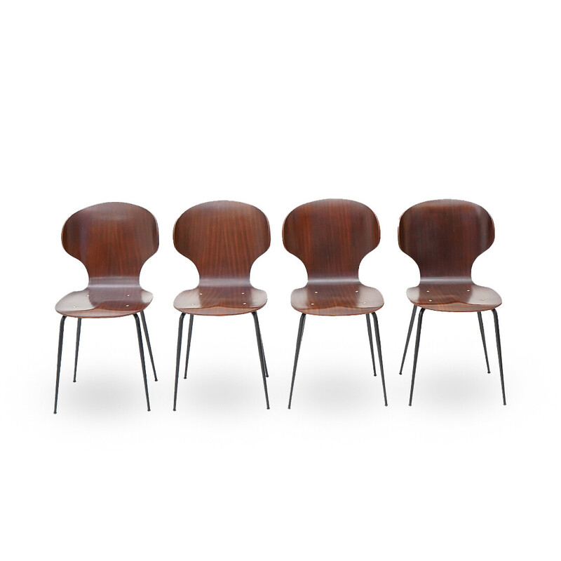 Conjunto de 4 cadeiras vintage "Lulli" em metal e compensado de Carlo Ratti para Industria Legni Curvati, década de 1950
