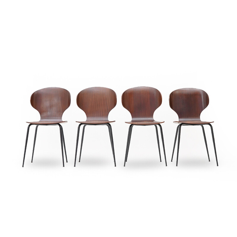 Set of 4 vintage "Lulli" chairs in metal and plywood by Carlo Ratti for Industria Legni Curvati, 1950