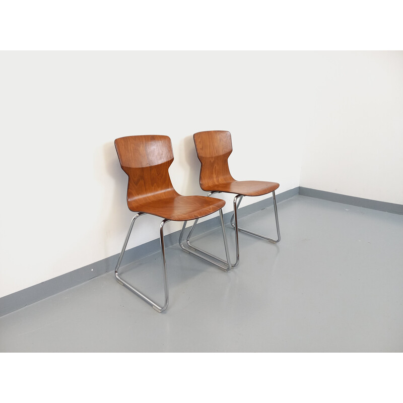Paire de chaises design Casala Obo-Formsitz vintage en bois courbé et chrome des années 60
