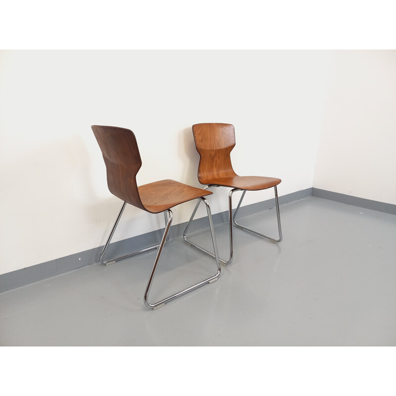 Paire de chaises design Casala Obo-Formsitz vintage en bois courbé et chrome des années 60