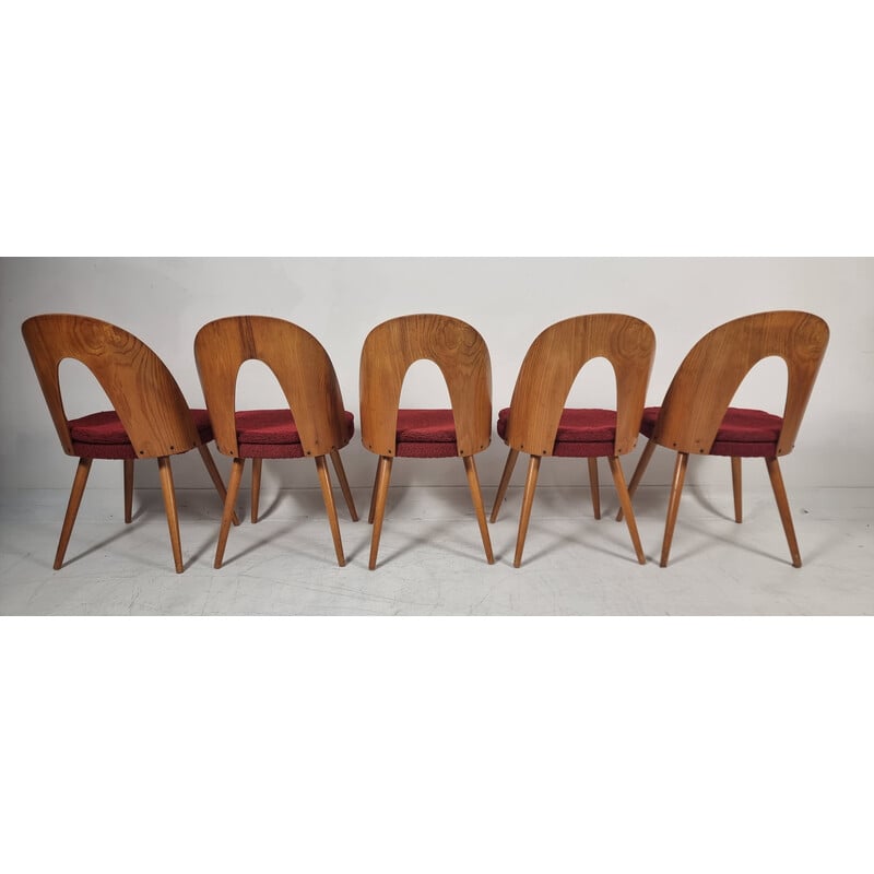 Lot de 5 chaises vintage par Antonin Suman, 1960