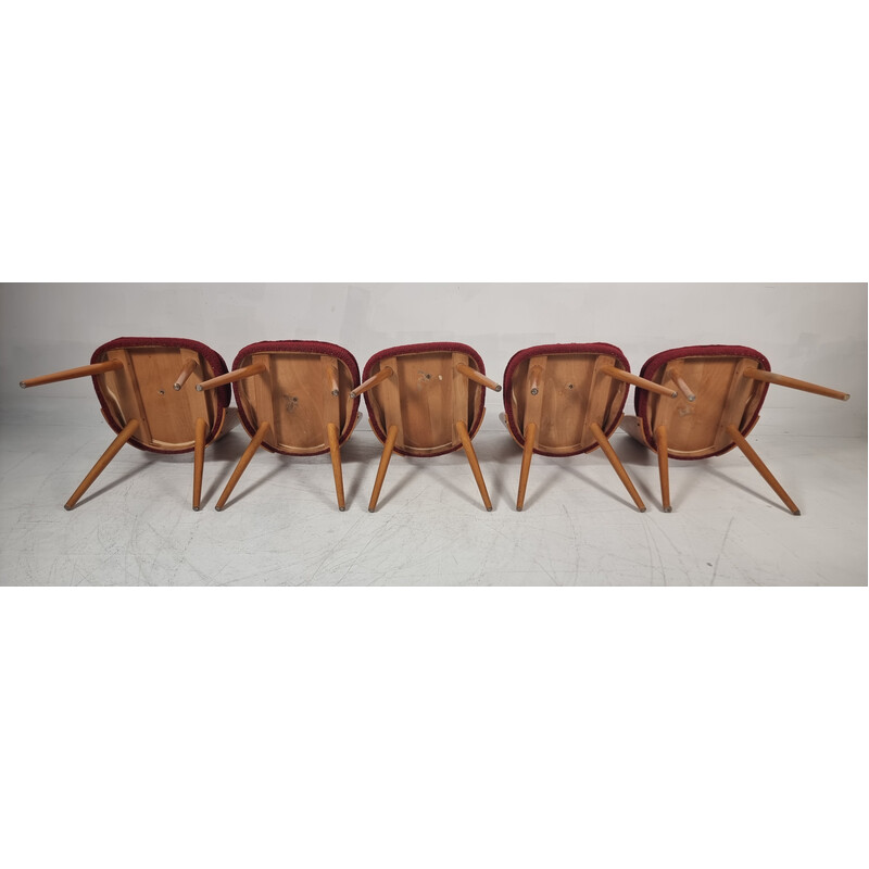 Set of 5 vintage chairs by Antonin Suman, 1960