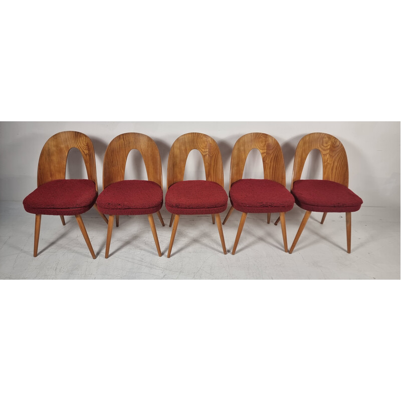 Conjunto de 5 cadeiras vintage de Antonin Suman, 1960