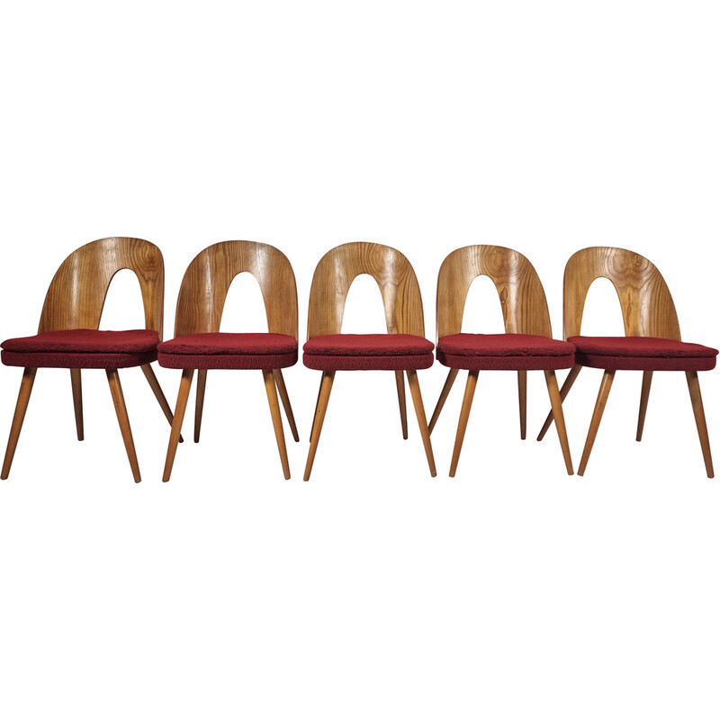 Lot de 5 chaises vintage par Antonin Suman, 1960