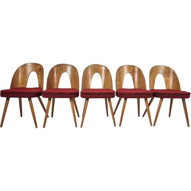 Set of 5 vintage chairs by Antonin Suman, 1960