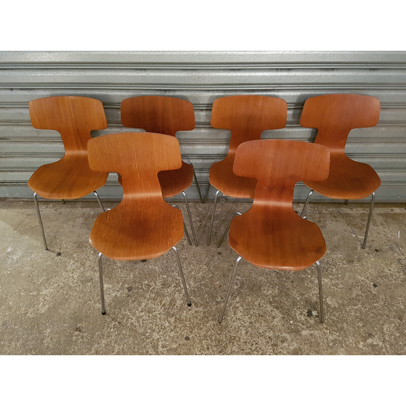 Suite de 6 chaises "Marteau" du designer Arne Jacobsen - 1960 