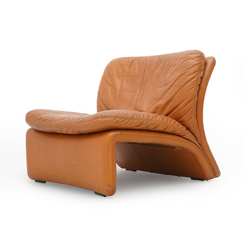 Vintage "Selene" leather and leather armchair by Adalberto Caraceni for B et T Salotti, 1970