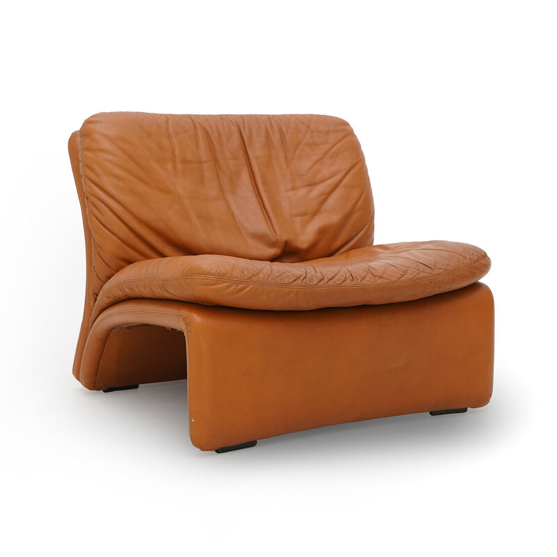 Vintage "Selene" leather and leather armchair by Adalberto Caraceni for B et T Salotti, 1970