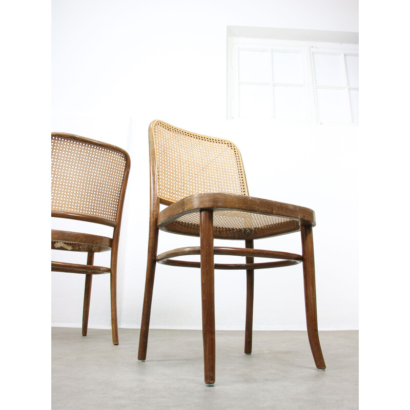 Set of 4 vintage No. 811 chairs by Michael Thonet