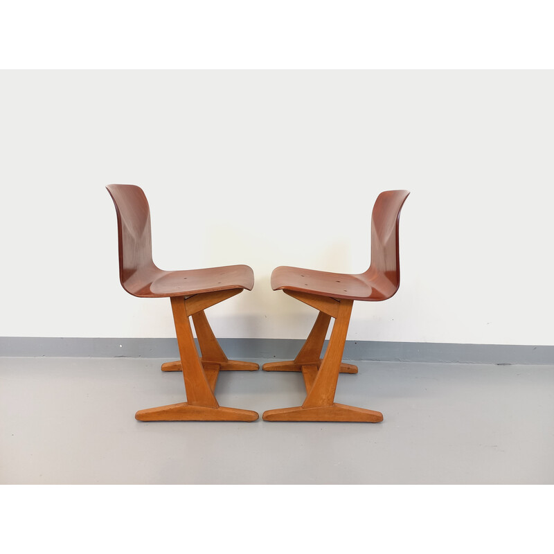 Pair of vintage bentwood and beech chairs for ASS Schulmöbel Pagholz Thur-Op-Seat, Germany 1960