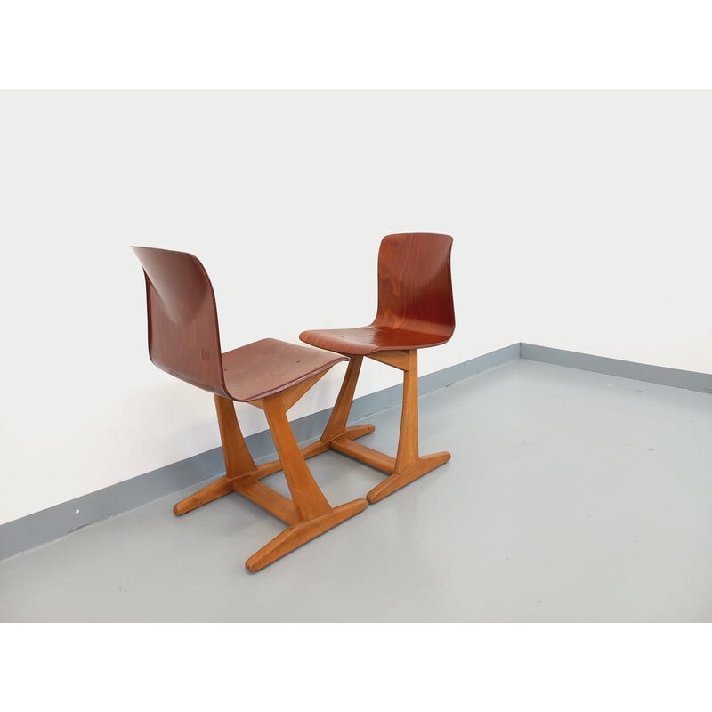 Paire de chaises vintage en bois courbé et hêtre pour ASS Schulmöbel Pagholz Thur-Op-Seat, Allemagne 1960