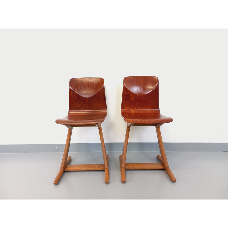 Pair of vintage bentwood and beech chairs for ASS Schulmöbel Pagholz Thur-Op-Seat, Germany 1960