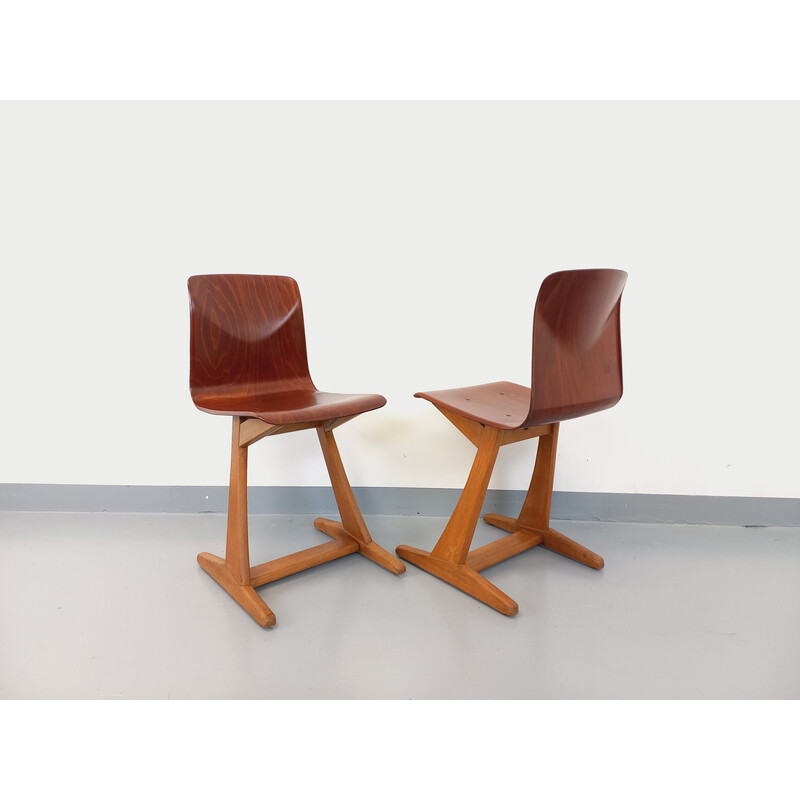 Par de cadeiras vintage em madeira de bétula e faia para ASS Schulmöbel Pagholz Thur-Op-Seat, Alemanha 1960