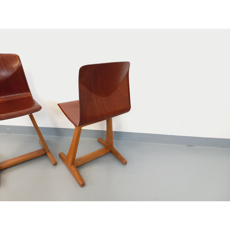 Coppia di sedie vintage in legno curvato e faggio per ASS Schulmöbel Pagholz Thur-Op-Seat, Germania 1960