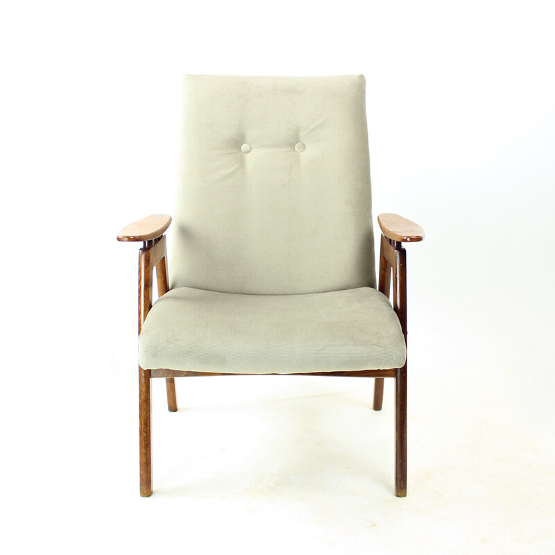 Vintage armchair in oak wood and gray velvet for Jitona, Czechoslovakia 1960