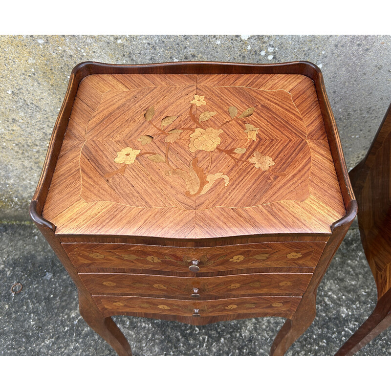 Pair of vintage bedside tables in mahogany and rosewood, France 1880