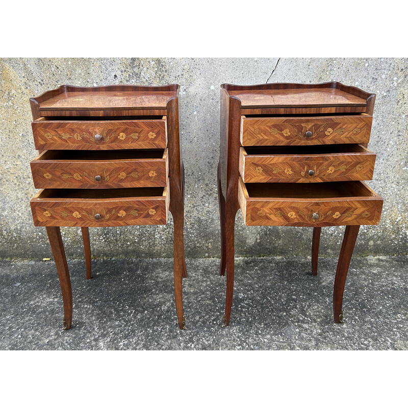 Pair of vintage bedside tables in mahogany and rosewood, France 1880