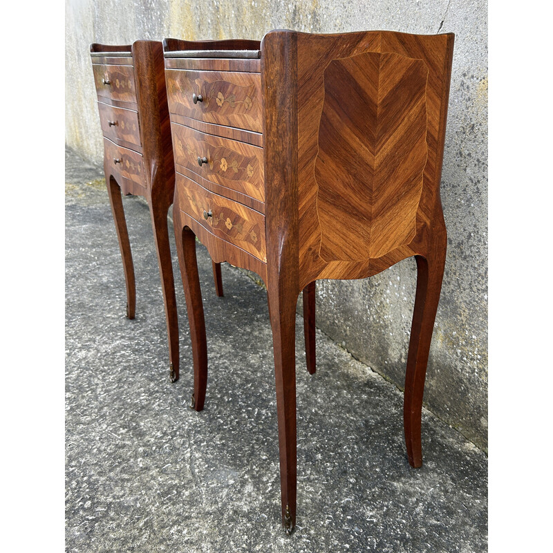 Pair of vintage bedside tables in mahogany and rosewood, France 1880