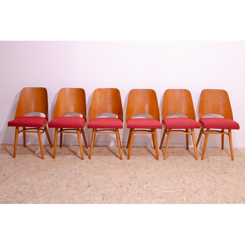 Set of 6 vintage dining chairs by Radomír Hofman for Ton Czechoslovakia, 1960