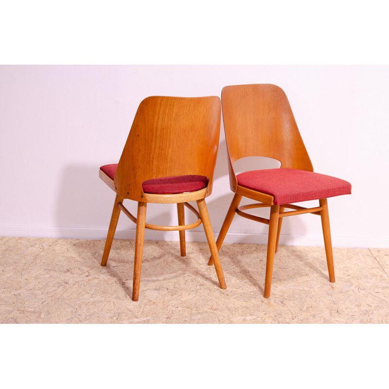 Set of 6 vintage dining chairs by Radomír Hofman for Ton Czechoslovakia, 1960