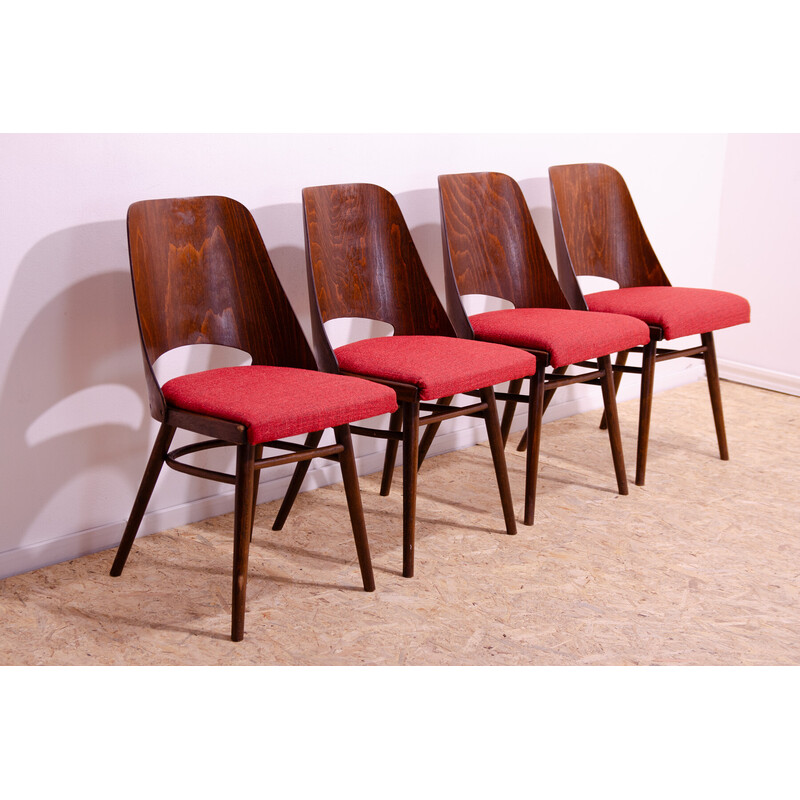 Conjunto de 4 cadeiras de jantar vintage em madeira bentwood de Radomír Hofman para Ton, Checoslováquia 1960