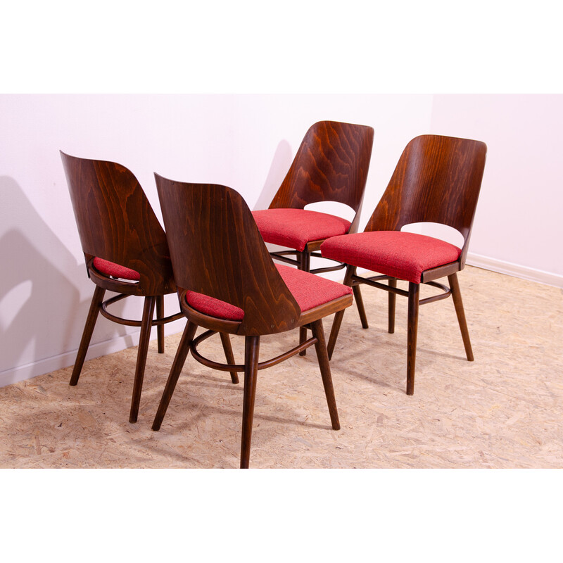 Conjunto de 4 cadeiras de jantar vintage em madeira bentwood de Radomír Hofman para Ton, Checoslováquia 1960