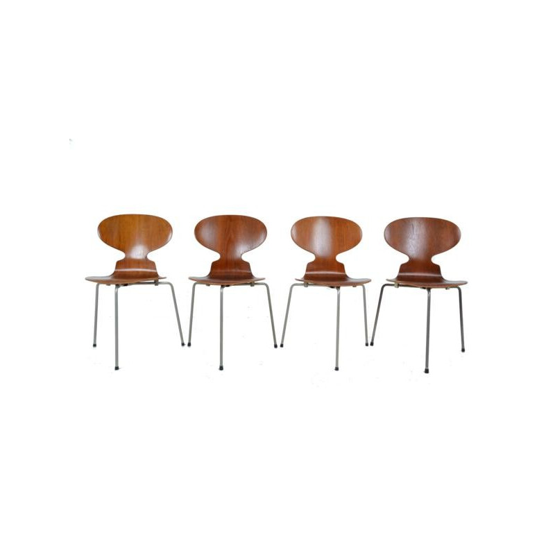 Suite de 4 chaises tripodes modèle fourmi 1ère édition par Arne Jacobsen pour Fritz Hansen - 1950