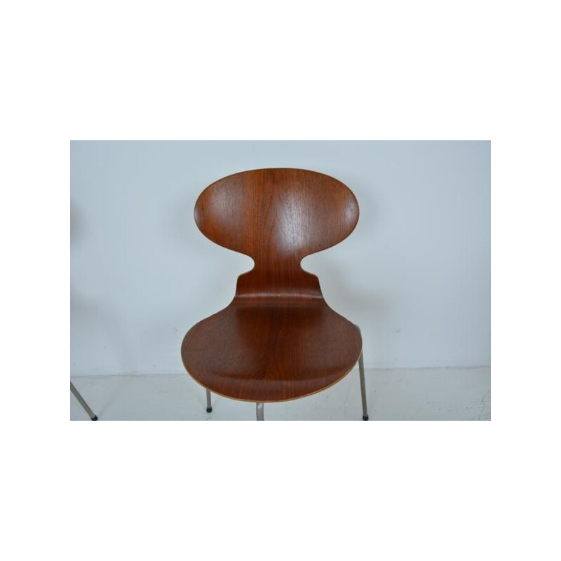 Suite de 4 chaises tripodes modèle fourmi 1ère édition par Arne Jacobsen pour Fritz Hansen - 1950