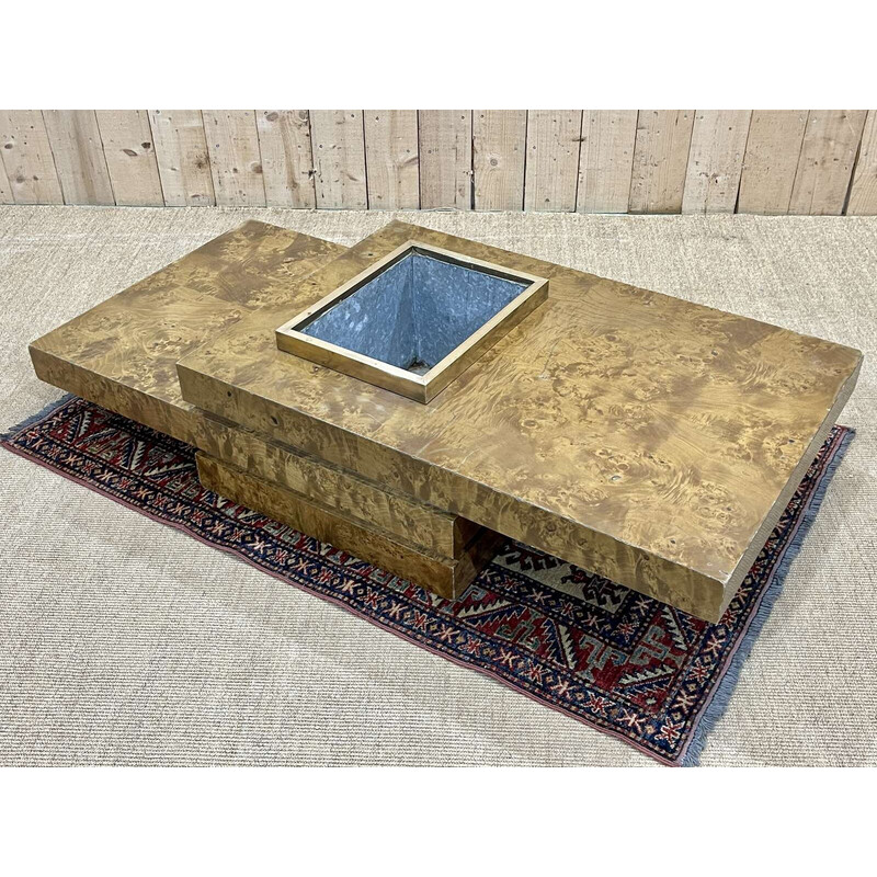 Vintage coffee table with its planter by Jean Claude Mahey, 1970