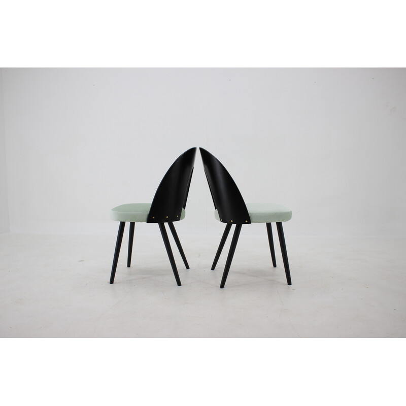 Conjunto de 4 cadeiras de jantar vintage em madeira de Antonin Suman, Checoslováquia, 1960