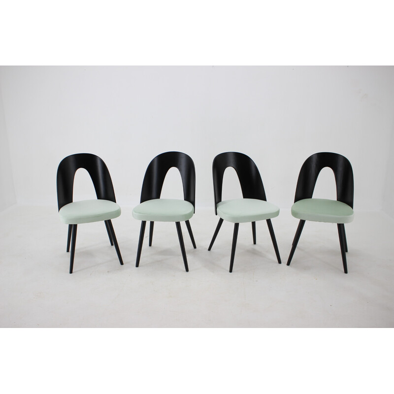 Conjunto de 4 cadeiras de jantar vintage em madeira de Antonin Suman, Checoslováquia, 1960