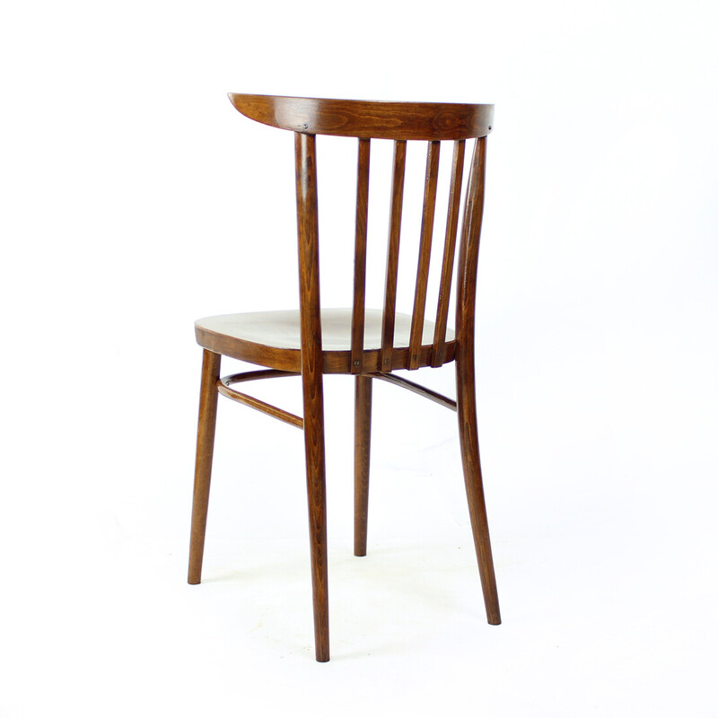Vintage bistro chairs in oak wood and plywood for Tatra, Czechoslovakia 1960