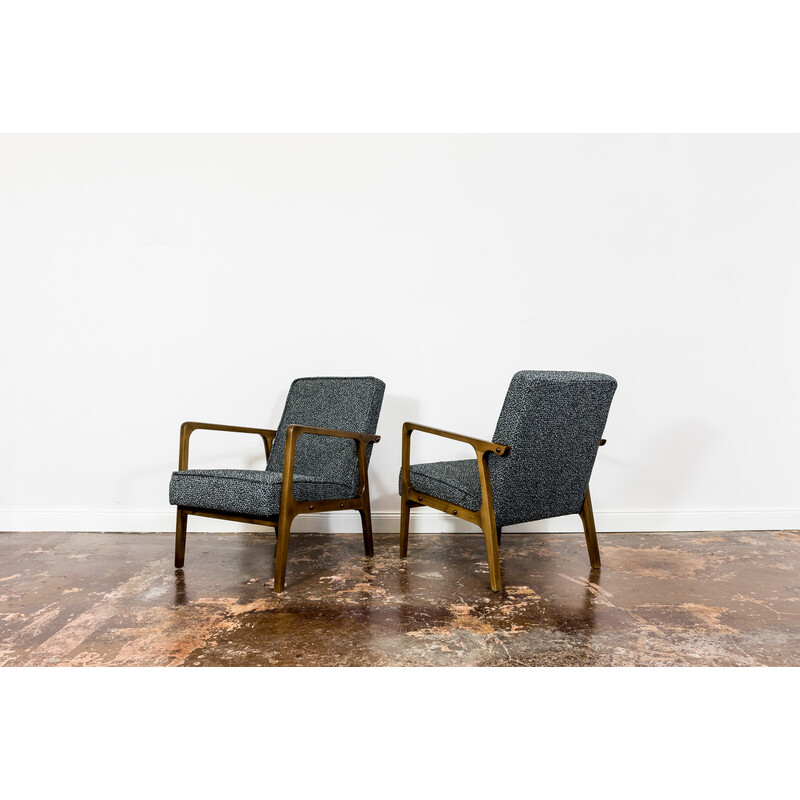 Pair of vintage 04 B armchairs for Bydgoskie Furniture Factories, Poland 1960