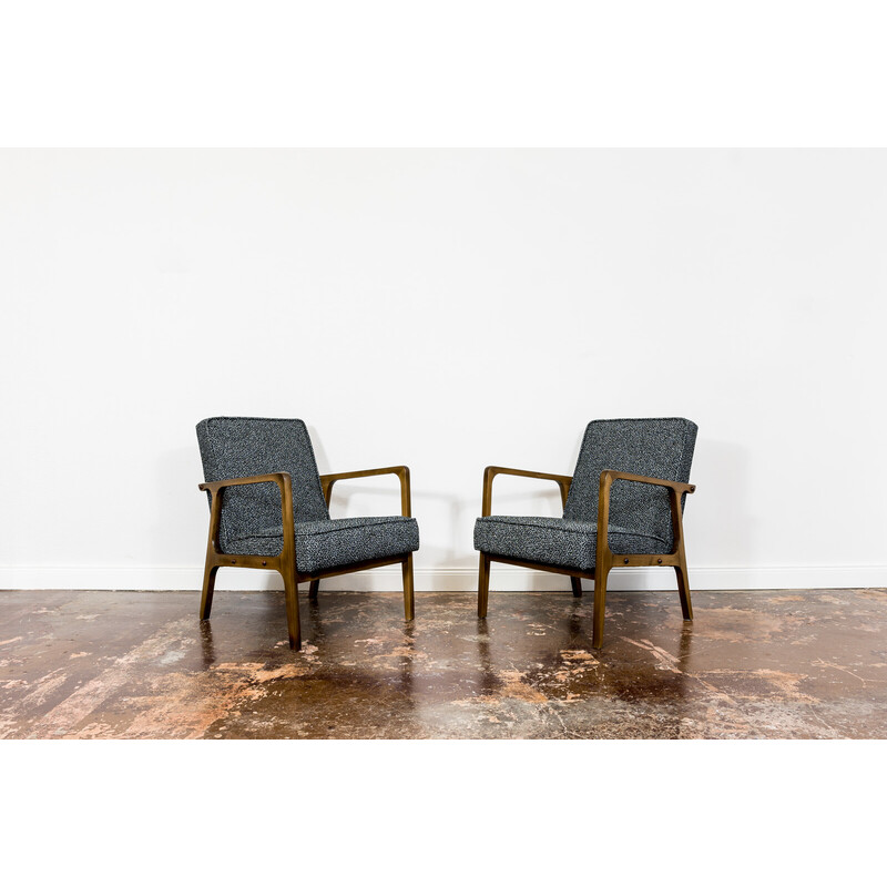 Pair of vintage 04 B armchairs for Bydgoskie Furniture Factories, Poland 1960