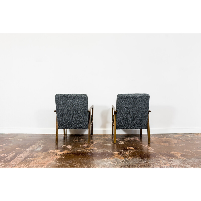 Pair of vintage 04 B armchairs for Bydgoskie Furniture Factories, Poland 1960