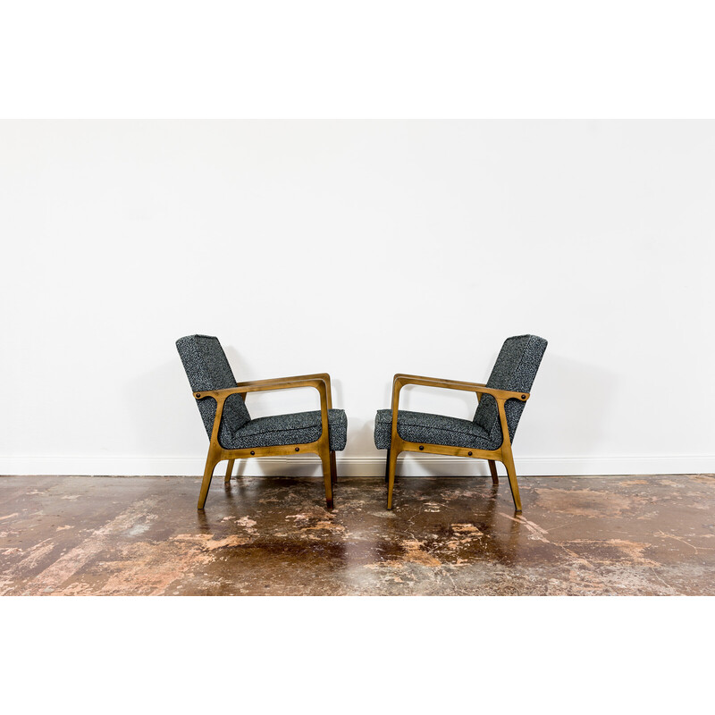 Pair of vintage 04 B armchairs for Bydgoskie Furniture Factories, Poland 1960