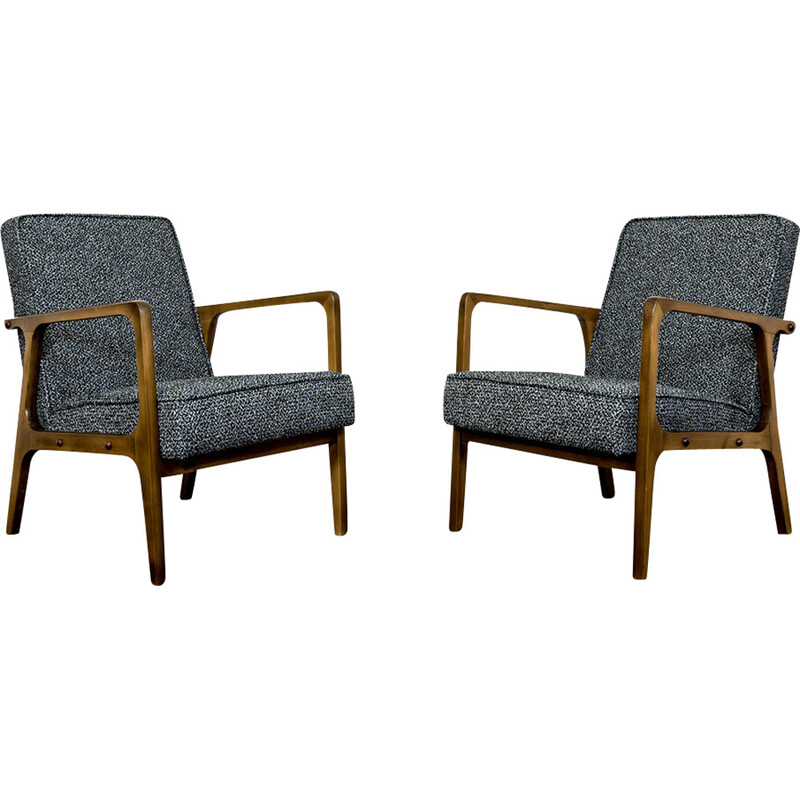 Pair of vintage 04 B armchairs for Bydgoskie Furniture Factories, Poland 1960