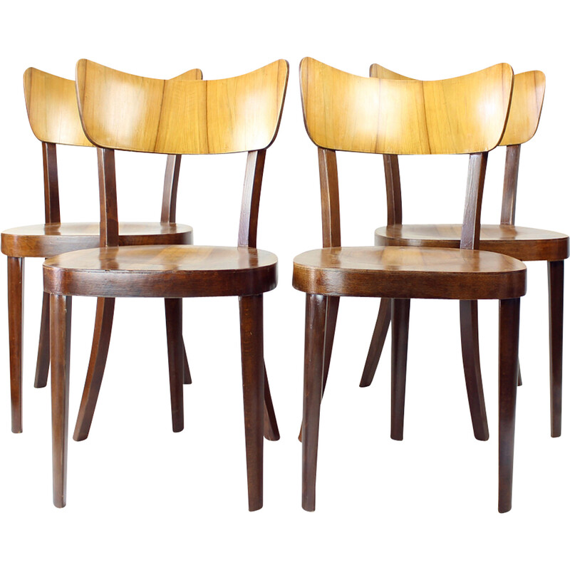 Set of 4 vintage dining chairs in oak wood and walnut veneer for Tatra, Czechoslovakia 1960
